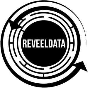 ReveelData Logo
