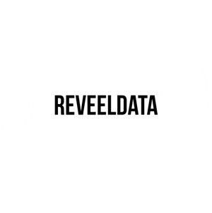 ReveelData Logo